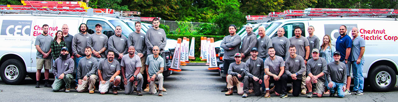 chestnut electric team